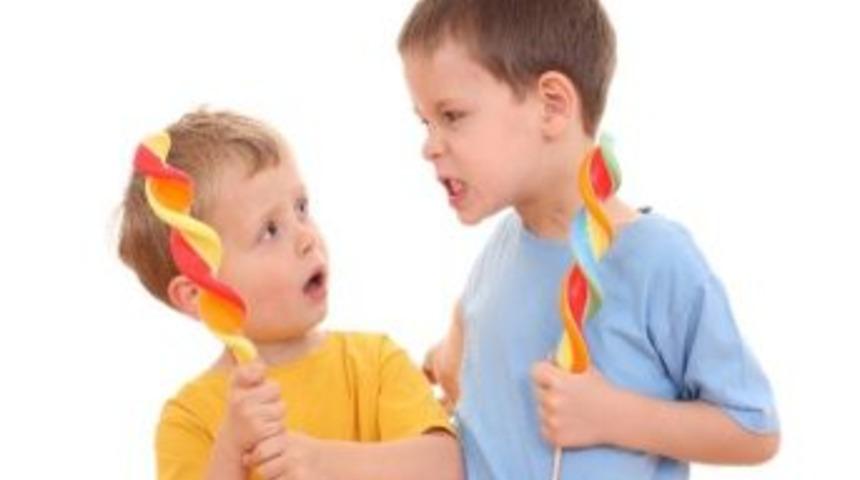 Kardeş Kıskan&ccedil;lığı Konusunda Ailelere Uyarı