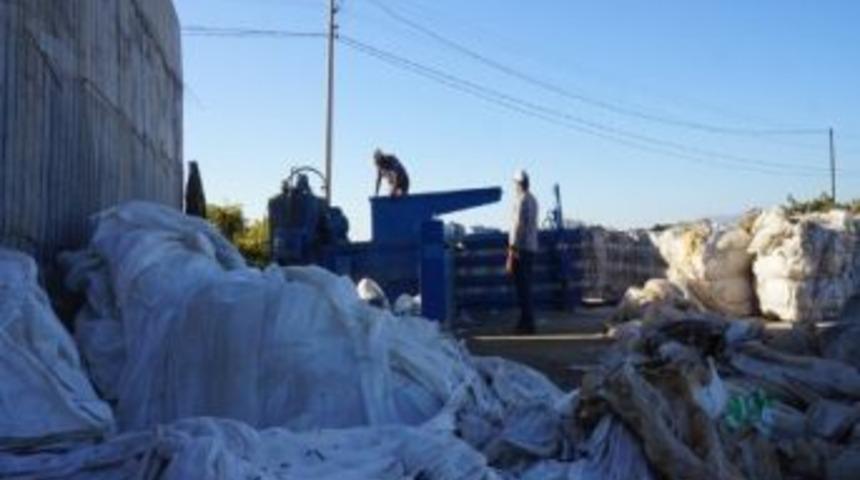 Sarıg&ouml;l'de &Uuml;z&uuml;m &Ouml;rt&uuml;leri Yabana Gitmiyor