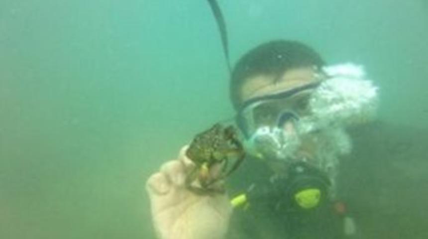 Giresun&rsquo;un Su Altı Zenginlikleri Fotoğraflanacak