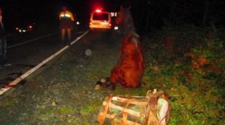 Yola Fırlayan At Kazaya Neden Oldu