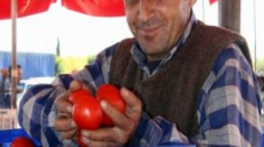 Domates Altın Gibi