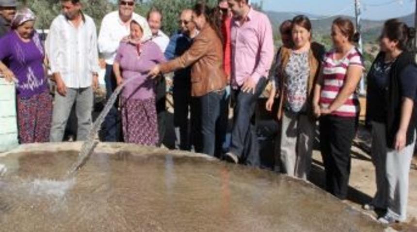 Alazeytin Suya Kavuştu