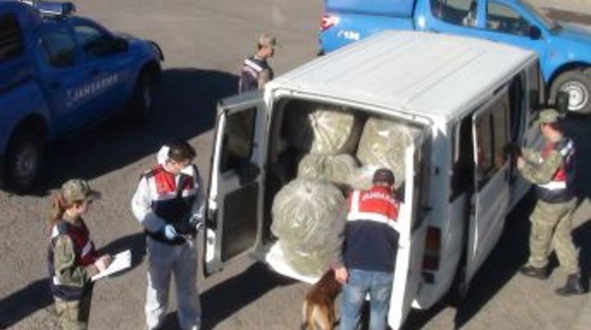 Diyarbakır’da 460 Kilogram Esrar Ele Geçirildi