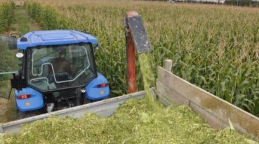 Anıza Ekim Y&ouml;ntemiyle &Ccedil;ift&ccedil;iler Daha Karlı