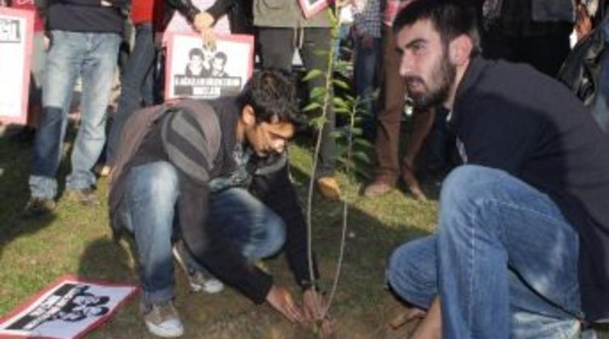 Kocaeli &Uuml;niversitesi &Ouml;ğrencileri Odt&uuml; İ&ccedil;in Fidan Dikti