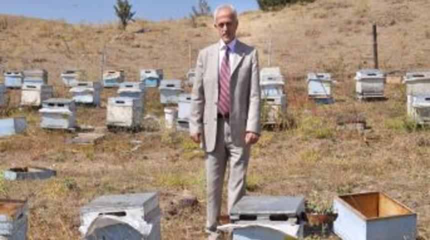 Şap Aşısı Yaptırmayan Hayvan Sahiplerine 6 Bin TL Para Cezası Uygulanacak