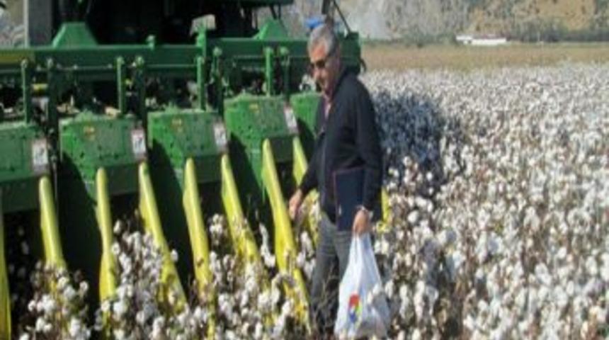 Pamuk Hasadında Denetim Ve Eğitimler Devam Ediyor