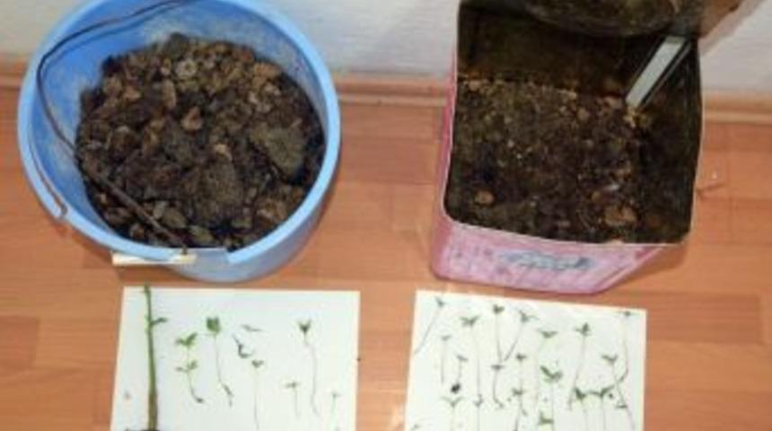 D&ouml;rt Ayda 20 Kilo Esrar Ele Ge&ccedil;irildi