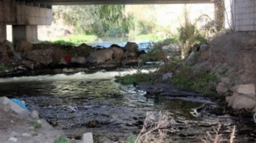 Kurban Atıkları Belediye Ekipleri Tarafından Temizlendi