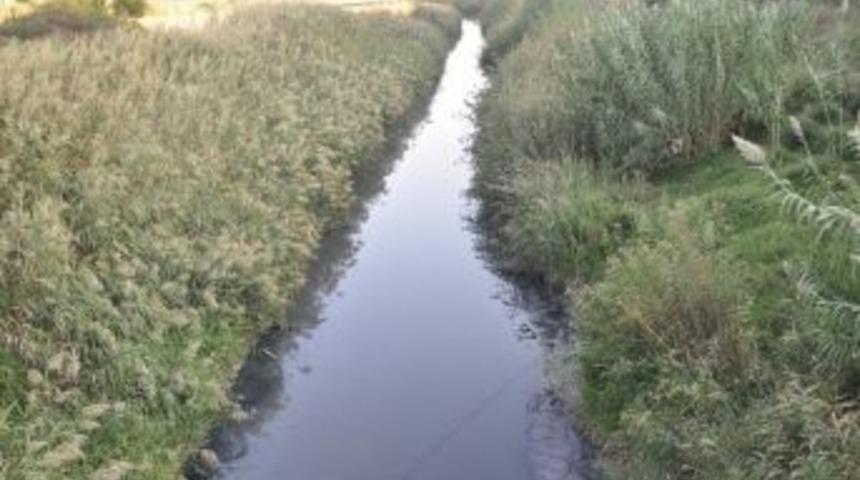 Torbalı'da Sağlık Deresi "sos" Veriyor