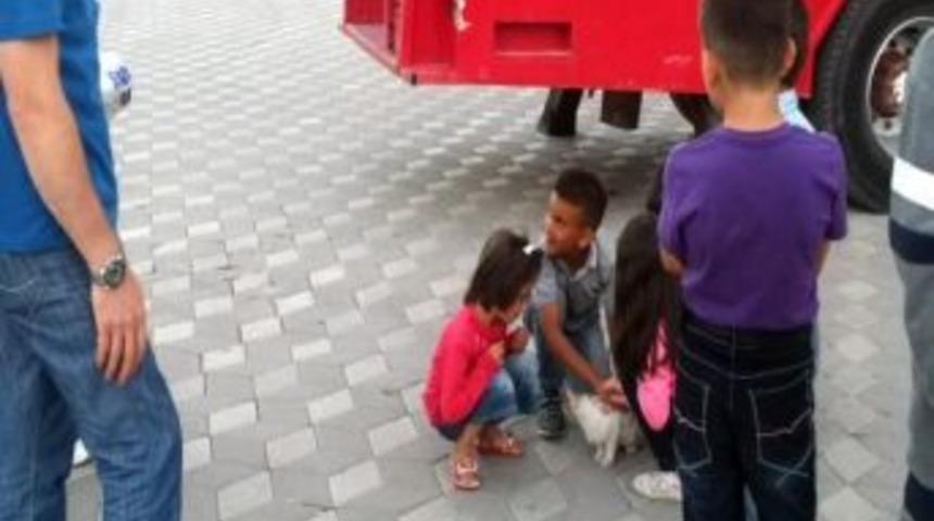 &Ccedil;atıda Kedi Kurtarma Operasyonu