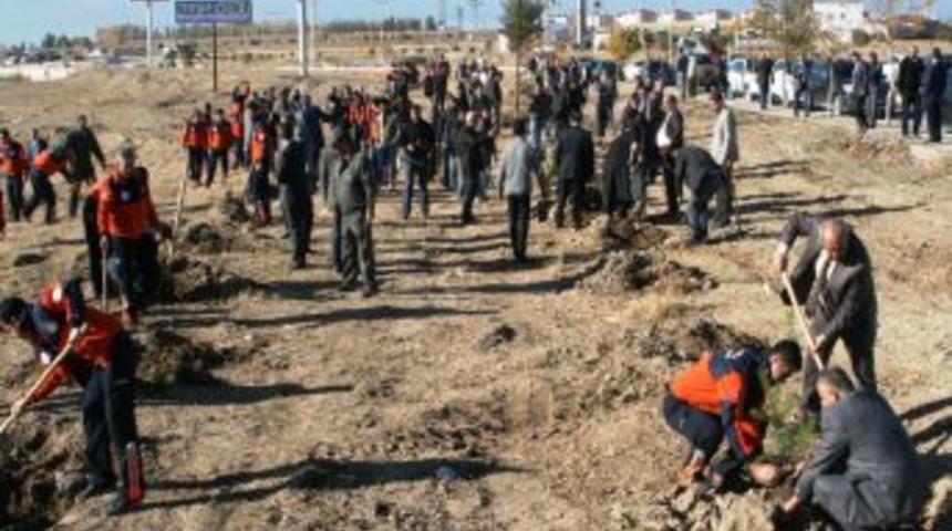 Van'da Depremde Hayatını Kaybedenler I&ccedil;in 644 Fidan Dikildi