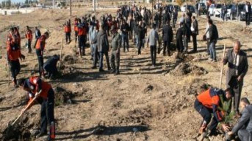 Van Depreminde Hayatını Kaybeden 644 Kişi İ&ccedil;in 644 Fidan Dikildi