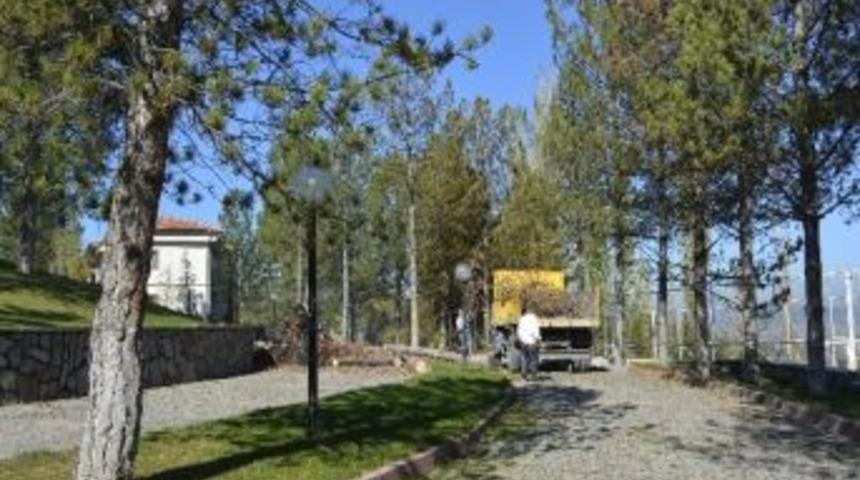 Yeşil Alanlara Kış Bakımı