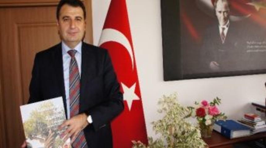 İlk Kez Kastamonu&rsquo;nun Anıt Ağa&ccedil;ları İncelendi