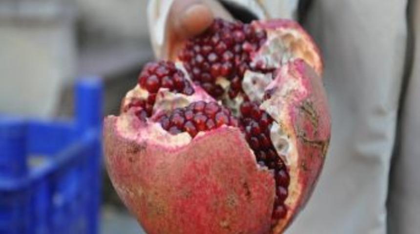 1 Kiloluk Nar Görenleri Şaşırtıyor