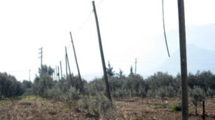Hırsızlar Jandarmayı G&ouml;r&uuml;nce Kabloları Bırakıp Ka&ccedil;tı