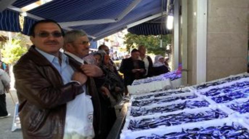 Hamsi Bereketi Vatandaşın Y&uuml;z&uuml;n&uuml; G&uuml;ld&uuml;r&uuml;yor