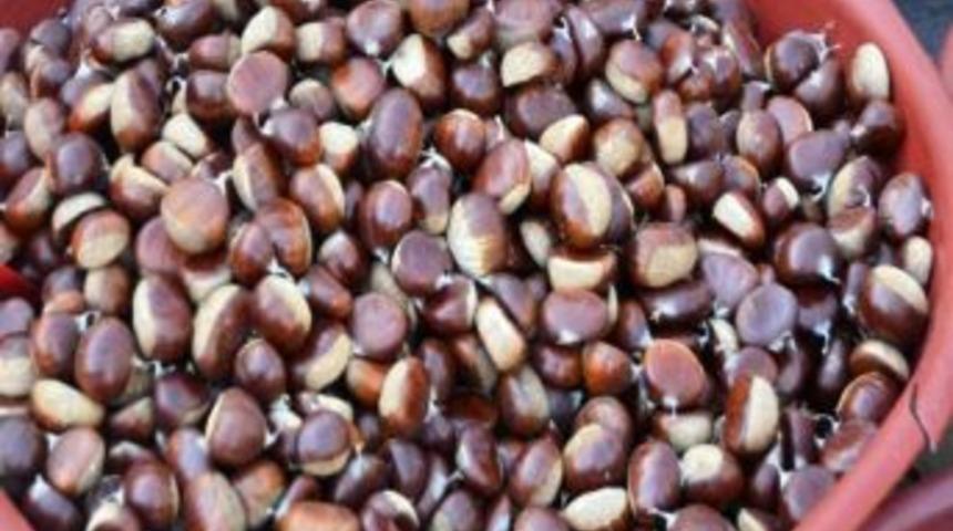 Organik Kestane Pazara İndi