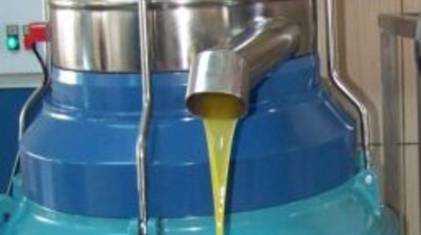 Erken Hasat Zeytinyağına Yaradı