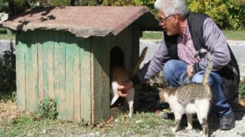 Kayıp Havyan Kul&uuml;besi Bulundu