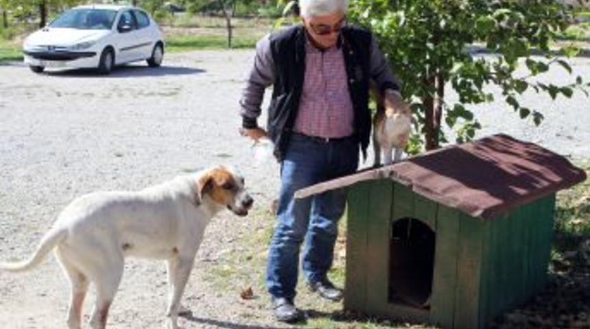 Sahipsiz Hayvanların &Ccedil;alınan Kul&uuml;besi Bulundu