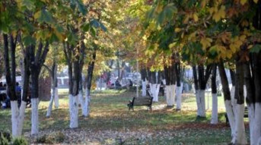 Bolu&rsquo;da Parklar Renk C&uuml;mb&uuml;ş&uuml;ne D&ouml;nd&uuml;