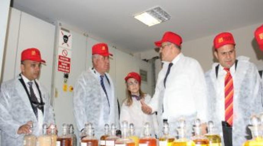 Elita Gıda, T&uuml;rkiye'nin Ilk 10 Yağ &Uuml;reticisi Arasında