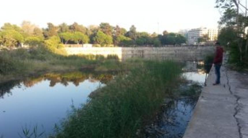 İzmir'in G&ouml;beğindeki Fareler Vatandaşları Bezdirdi