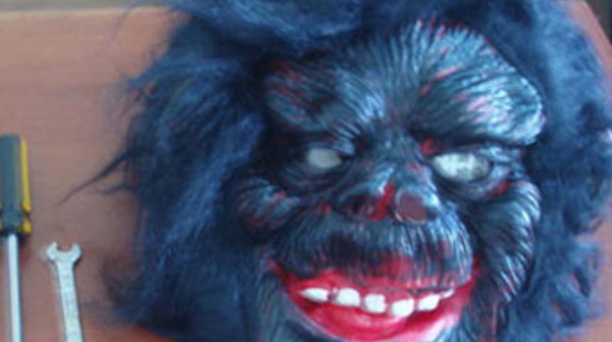 Goril maskeli hırsız yakalandı