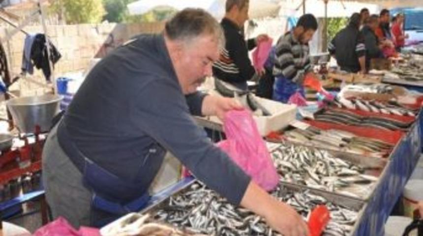 Balık Bol Alıcı Yok