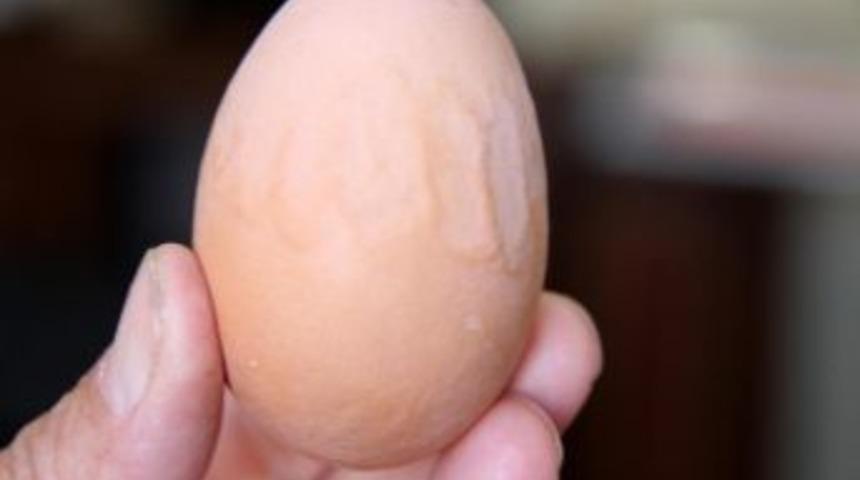 Yumurta &Uuml;zerindeki Arap&ccedil;a Yazısı Şaşırttı