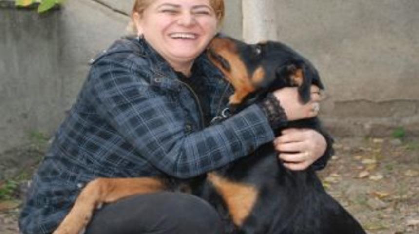 &Ccedil;alınan K&ouml;peğine Kavuştu