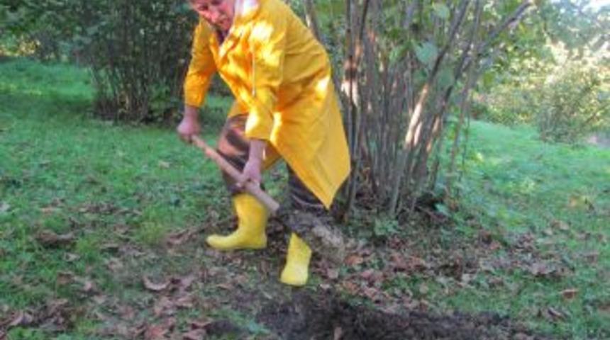 Toprak Analizi &Uuml;r&uuml;n Verimini Artırıyor