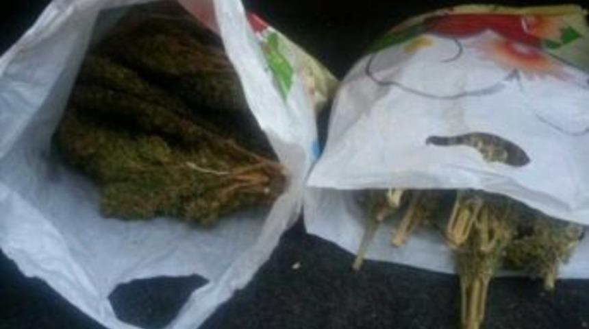 Hırsızlık Ş&uuml;phelisi Ara&ccedil;tan Esrar &Ccedil;ıktı