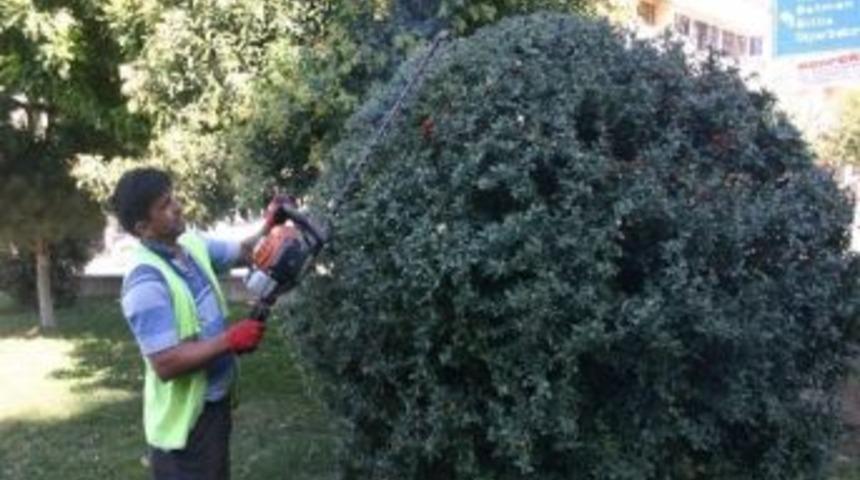 Parklarda G&uuml;z D&ouml;nemi &Ccedil;alışmaları Başladı