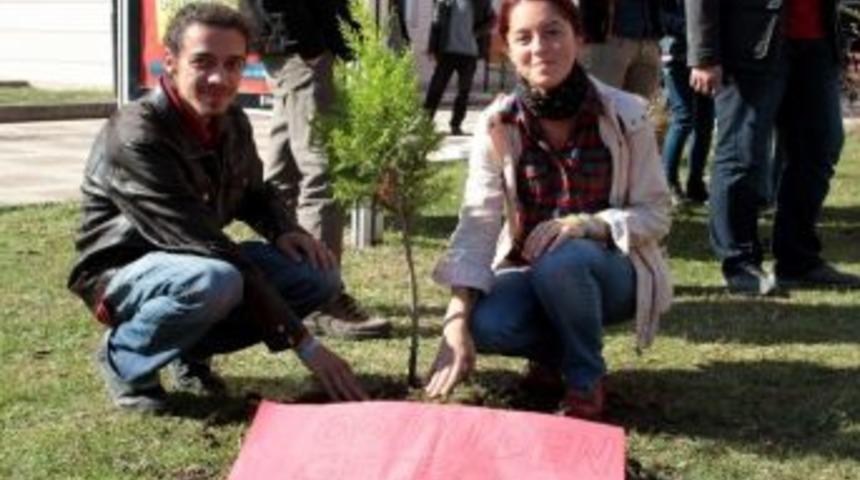 Om&uuml; &Ouml;ğrencileri Odt&uuml; İ&ccedil;in Fidan Dikti