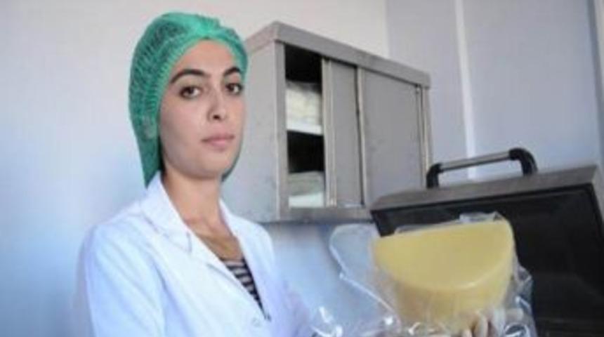 Ka&uuml; Kaşarın Patantini Almak İ&ccedil;in T&uuml;rk Patent Enstit&uuml;s&uuml;&rsquo;ne M&uuml;racaat Etti