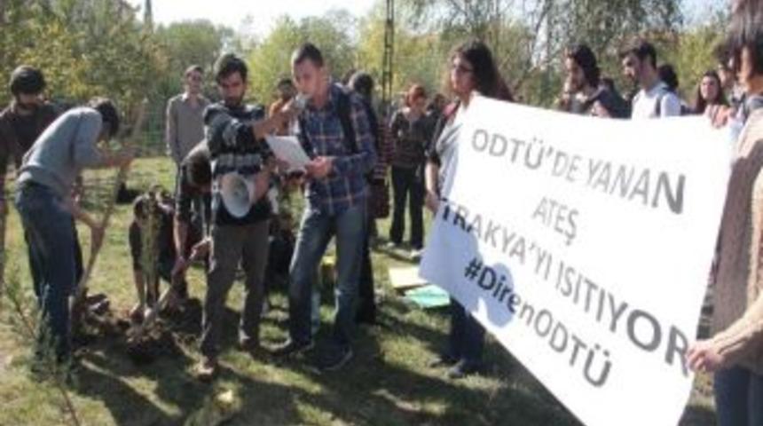 T&uuml; &Ouml;ğrencileri Odt&uuml;&rsquo;ye Destek İ&ccedil;in Fidan Diktiler