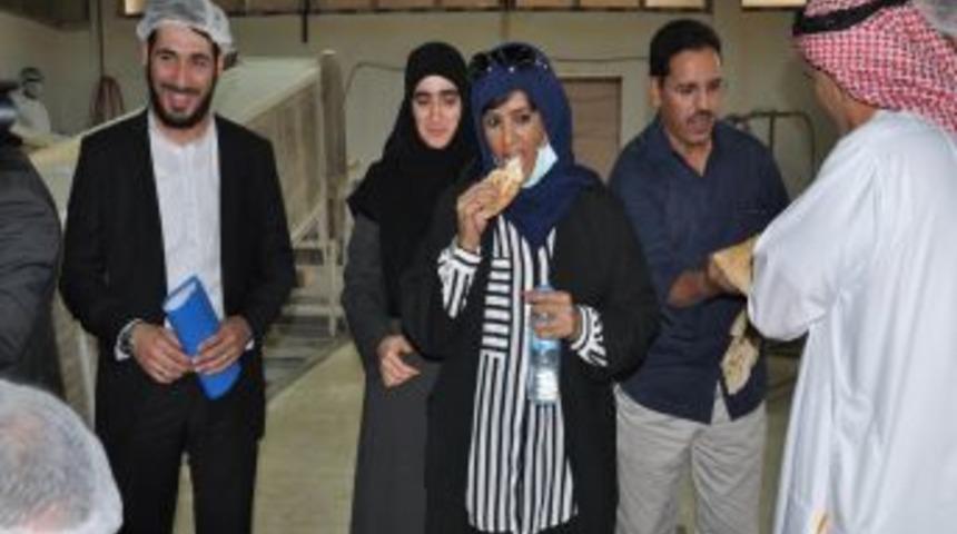 Arap Birliği İnsani Yardım Temsilcisi Reyhanlı&rsquo;da Inceleme Yaptı