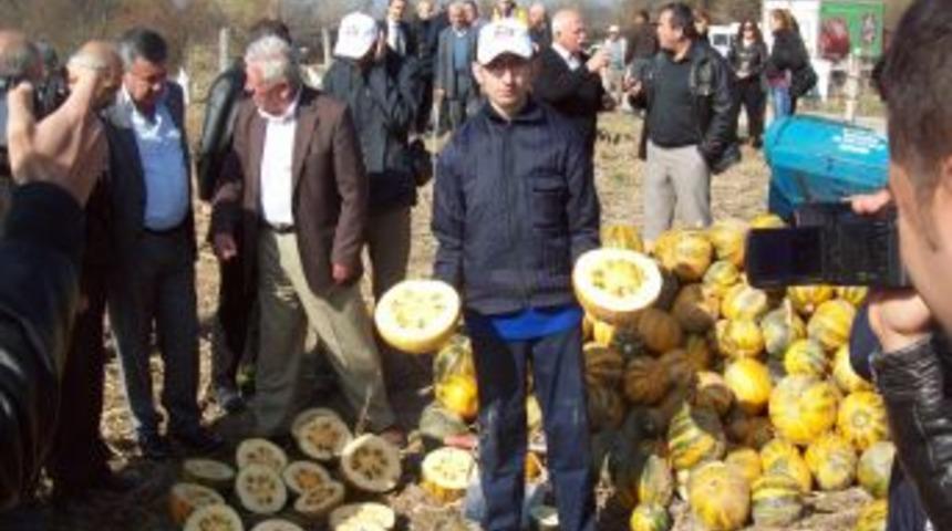 Kabuksuz Kabak &Ccedil;ekirdeği Patatese Alternatif &Uuml;r&uuml;n Oldu