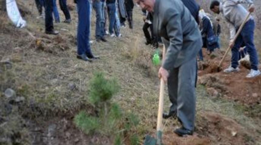 &Ccedil;ek&uuml;d&rsquo;den Sempozyum Anısına Fidan Dikimi