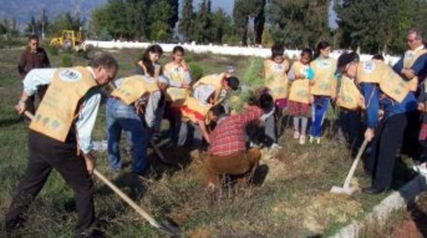 Tema&rsquo;dan Okul Bah&ccedil;elerini Ağa&ccedil;landırma &Ccedil;ağrısı