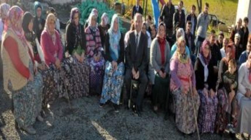Burma Yeşiltepe&rsquo;de