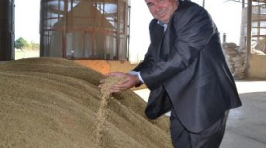 &Ccedil;eltik &Uuml;reticileri Fiyat Bekliyor