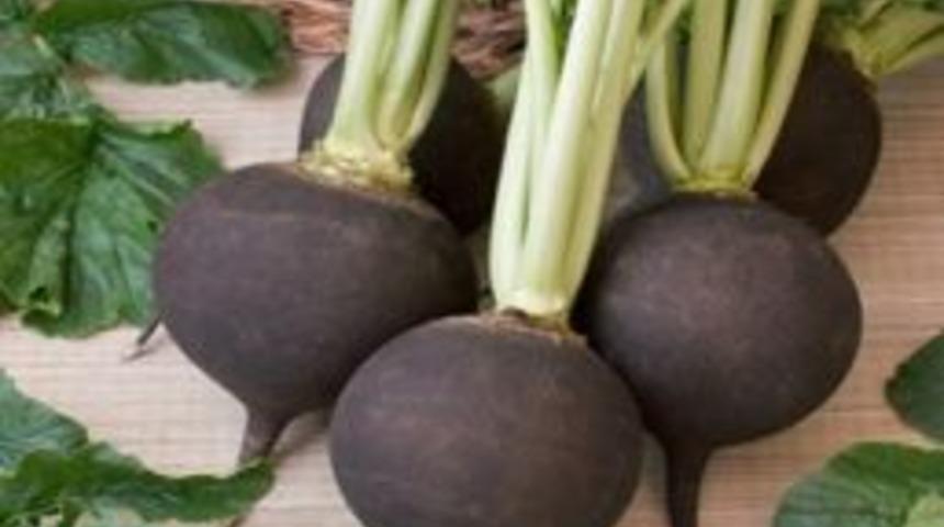 Turp T&uuml;ketin Turp Gibi Olun