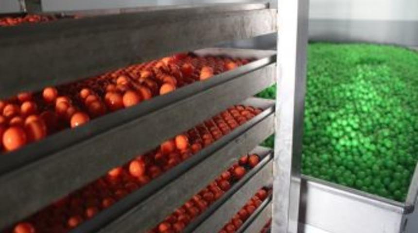 Biber Gazı Yerine Sarımsak Kokulu Boya Topu