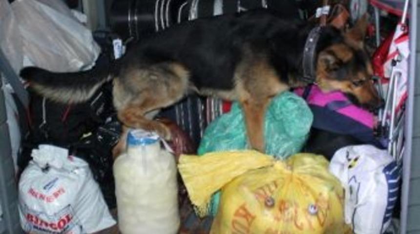 Narkotik Köpekleri Nil 7, Ares 4 Kilo Uyuşturucu Buldu