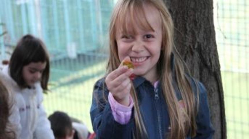 Goncalı &Ouml;ğrenciler Define Aradı