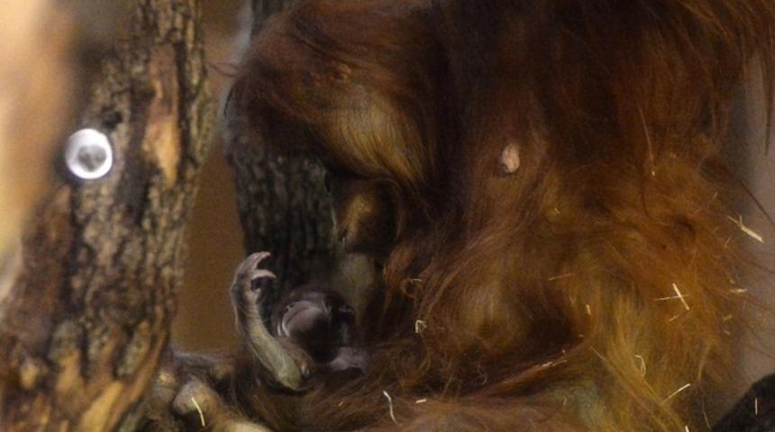 D&uuml;nyada neler oluyor?